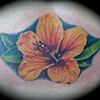 hibiscus flower tattoo