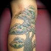 Tree tattoo after cover up