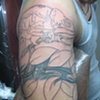 before cover up