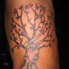 Tree tattoo