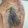 Koi cover up