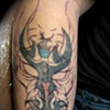 Before dragon cover up