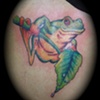 Yellow belly tree frog tattoo