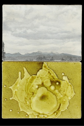 NM7