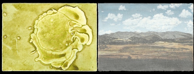 NM1