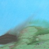Under Water