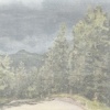 NM5