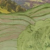 Rolled Over Hills