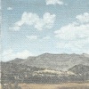 NM1
