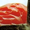 T is for Tomato