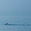 Swimming