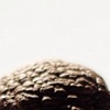 F is for Funghi