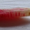 B is for Breakfast Radish