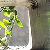 Portal #10