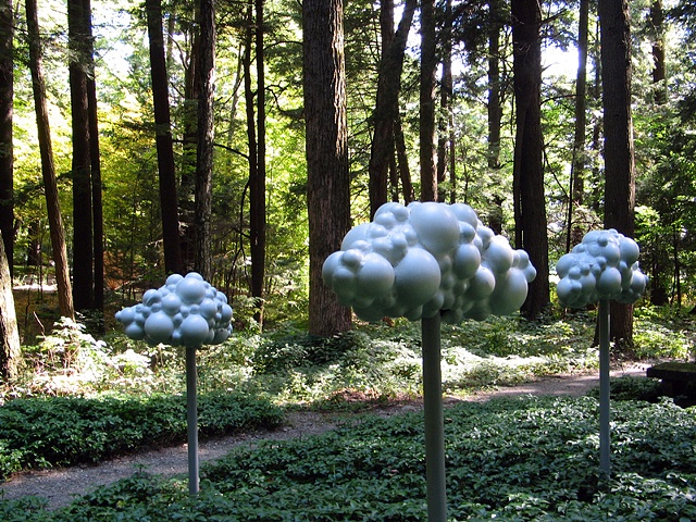 Cloudscape