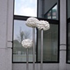 Puffy Clouds