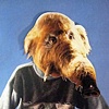 Mammoth on Picture Day