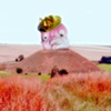 Land Castle (Head Hill)