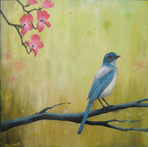 Kate Halpin