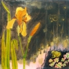 The Toad and Iris - SOLD