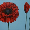Red Poppies - SOLD