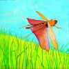 Grasshopper - SOLD
