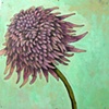 Chrysanthemum - SOLD