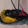 Wild Ginger and Banana Slug