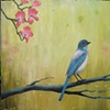 Western Scrub Jay and Dogwood - SOLD