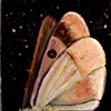 Ugly Moth