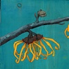 Witch Hazel on Blue
