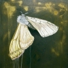 Grey Moth - SOLD!