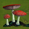 Amanita Mushrooms on Green Wood - SOLD