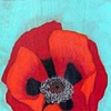 red poppies