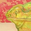 Rabbit in Red and Green