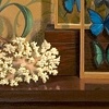 Still Life with Coral and Joy