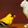 Wunderkammern with Goldfinch for Porter