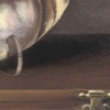 Specimens