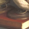 Bird Lore