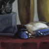 Blue Jay with Pins