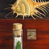 Specimens