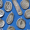 Large Picture Charms