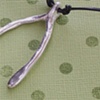 Wishbone