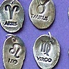 Zodiac Charms