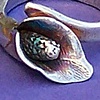Calla Lily