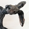 Jack rabbit