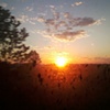 on the horizon