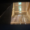 At Home in the Trees   (interior scope view)