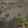 Overlook    (hill view)