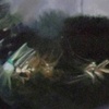 Trail 2 (sold)